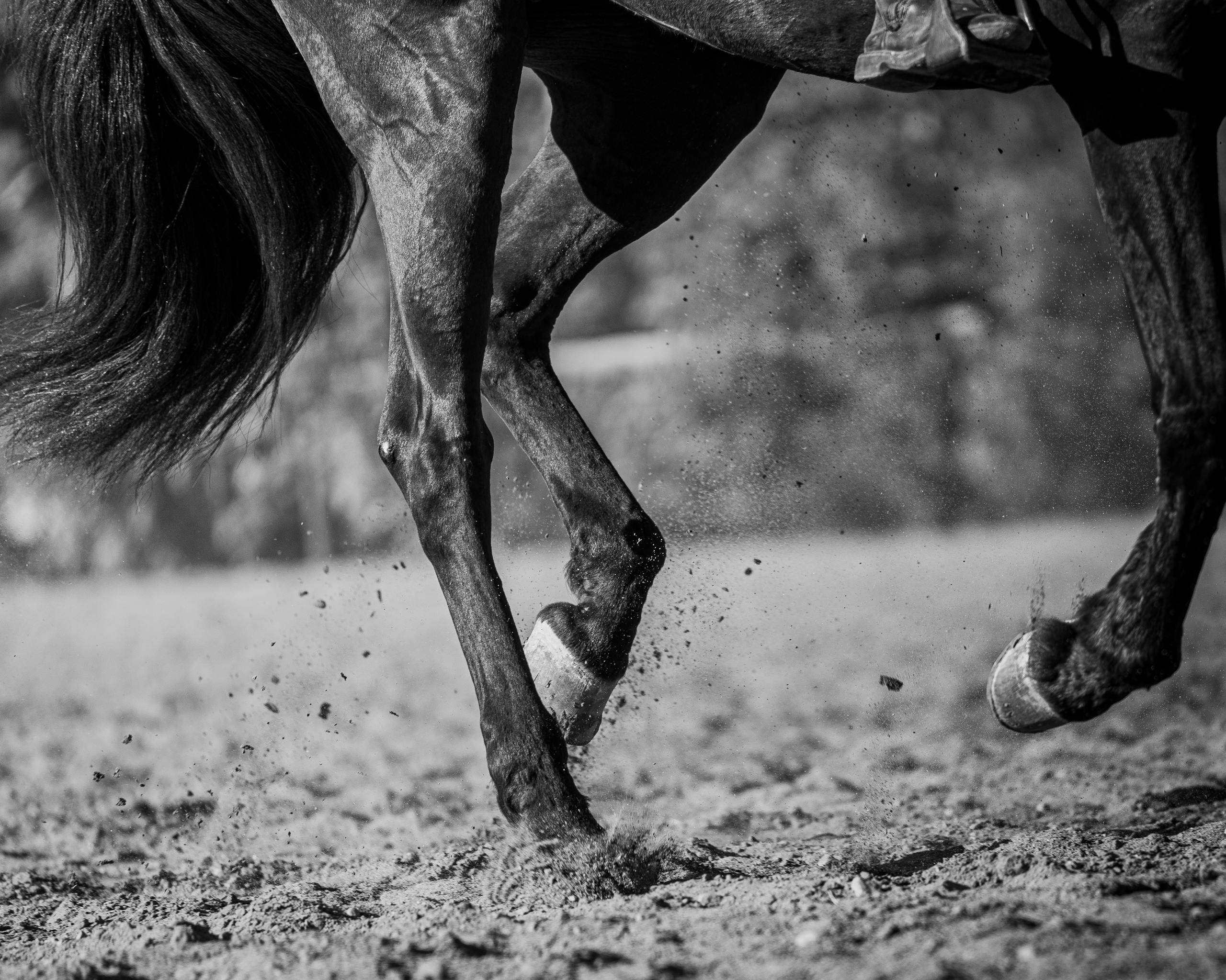 Dynamic close-up of a horse galloping on a sandy track, showcasing strength.