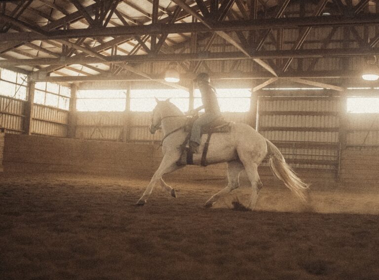 Why Your Horse Won’t Pick Up the Correct Lead – And What’s Really Behind It